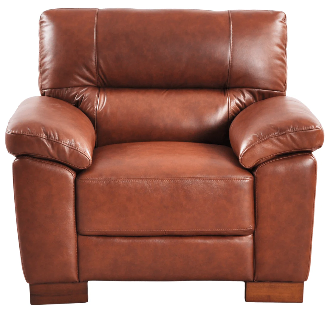 Pavilion Genuine Leather Tan Armchair